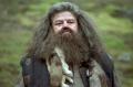 Robbie Coltrane