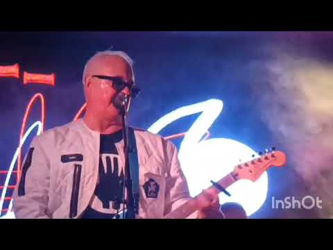 Post Plastic World The Self-Saboteurs