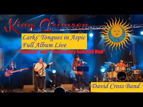 David Cross regresa a Chile este 2024