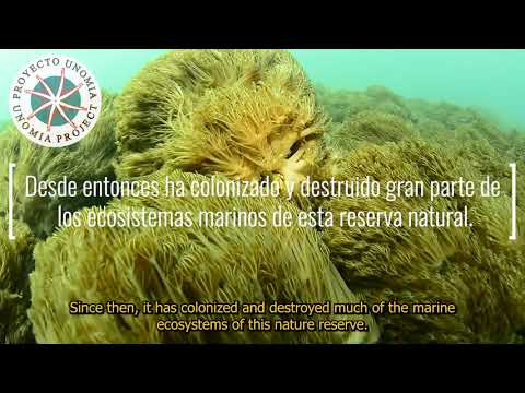 rescate del parque nacional Mochima