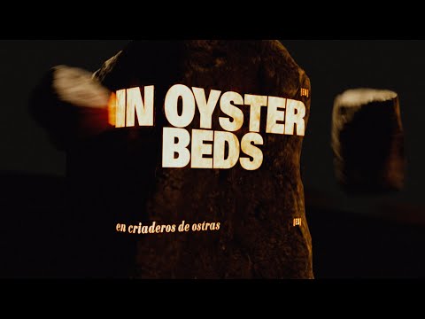 PIXIES publican su temazo punk 'OYSTER BEDS'
