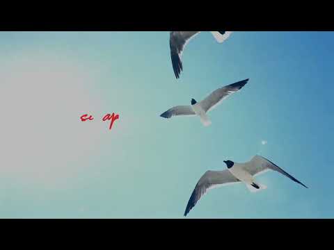 Pia Paez Qué Vas a Hacer