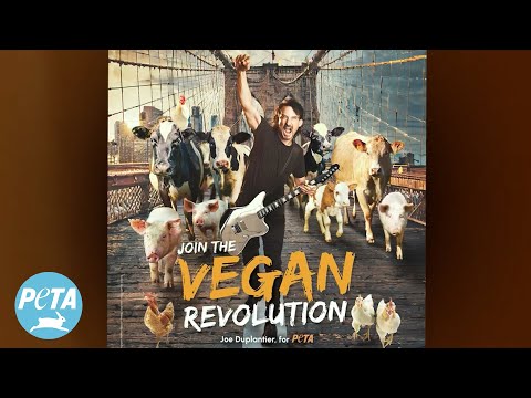 Joe Duplantier Gojira veganismo