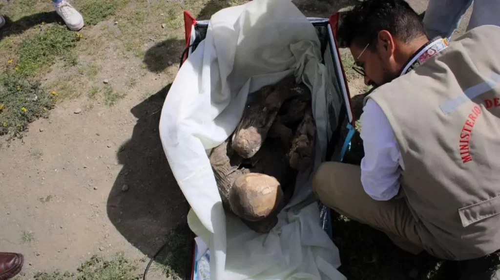 momia prehispánica de entre 600 y 800 años en la mochila de un repartidor de comida