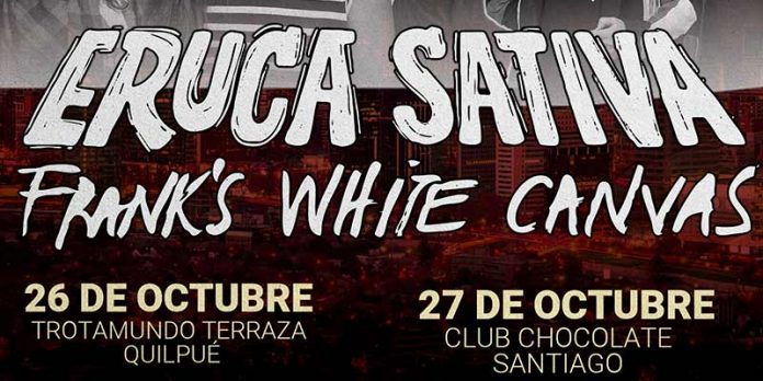 Frank's White Canvas y Eruca Sativa en Chile