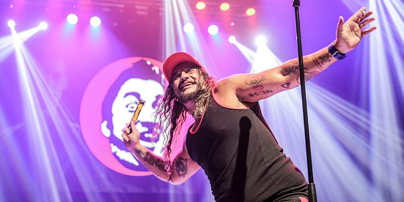 ¡El Bananero llega a Chile con 