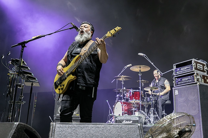molotov noches del botanico Molotov y Ana Tijoux en Madrid
