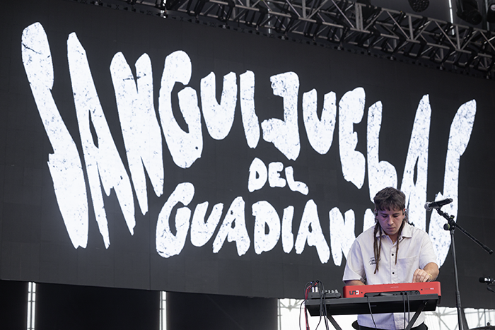 Sanguijuelas del Guadiana concierto Río Babel Río Babel 2025 cierre