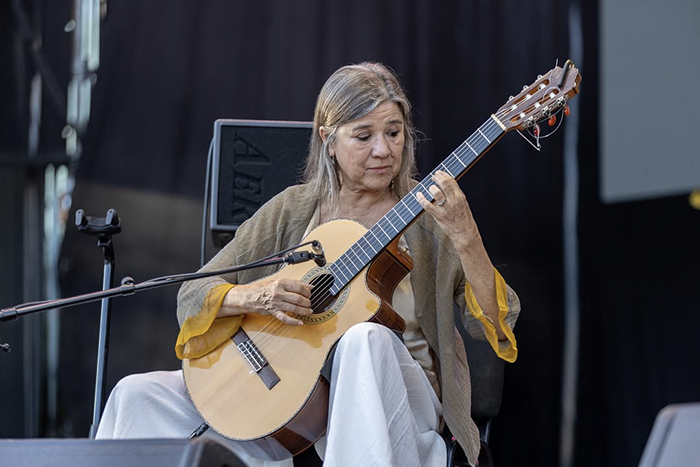 Guitarrista tocando una pieza flamenca con concentración durante el evento María Peláe Noches del Botánico