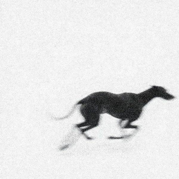 Feral Family The Balance