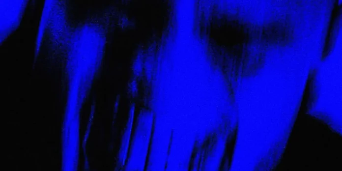 ANIMAL Lil Supa Analisis