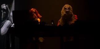 Arepa Volátil noticias musicales