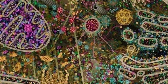 Oswaldo Grillet La Vía