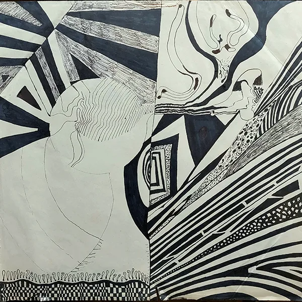 Ilustración abstracta en blanco y negro con líneas curvas y geométricas, patrones repetitivos y contrastes fuertes que dividen la composición en varias secciones CATU Sobran Caminos