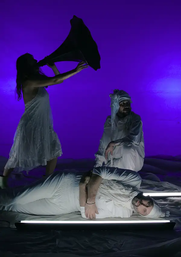 Animal Random Sudam&eacute;rica Combativa