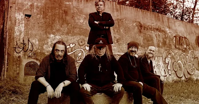 White Chameleon 2026