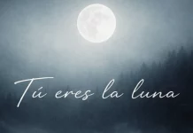 Arepa Vol&aacute;til noticias musicales