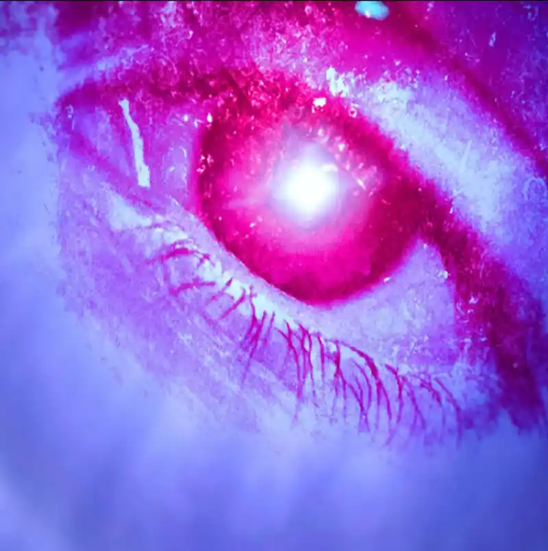 all / natural de COMMOTION