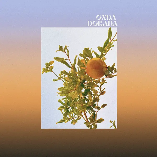 Canast&eacute;reo Onda dorada