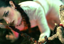 Arepa Vol&aacute;til noticias musicales