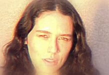 Arepa Vol&aacute;til noticias musicales