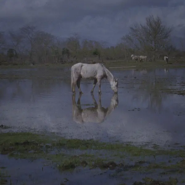 Guille Galv&aacute;n Los Motivos