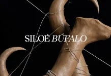 Arepa Vol&aacute;til noticias musicales