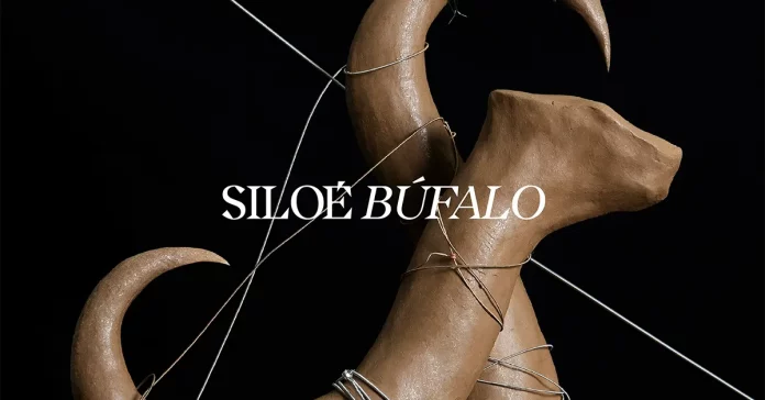 Siloé Búfalo Estreno
