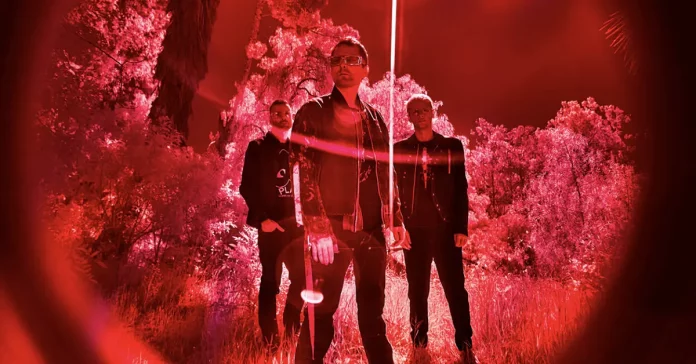 Muse Hexagons
