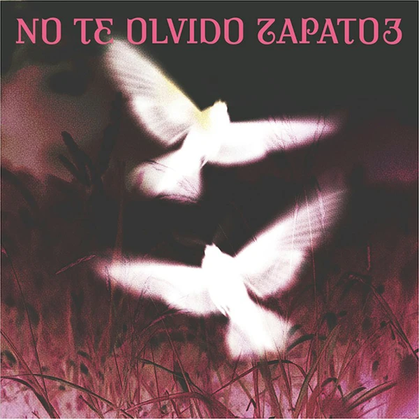 Zapato3 No Te Olvido