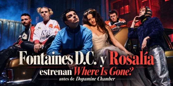 Fontaines D C rosalía