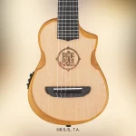 Ibanez Dragon Ball Z